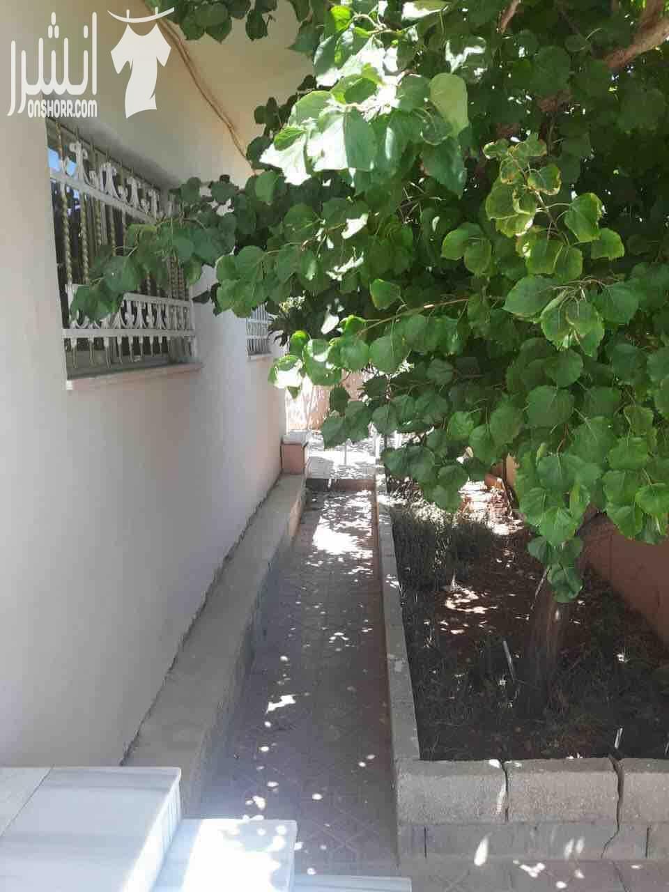 بيت مستقل استقلال تام بنمطقة الرباحيه بالقرب من المدينه الطبيه ذو اطلاله خلابه يتكون من غرفتين نوم وغرفة معيشه وغرفة ضيوف وحمامين ومطبخ مدخل خاص وبارك خاص البيت واسع بسم الله ما شاء الله جللسات خارجي...