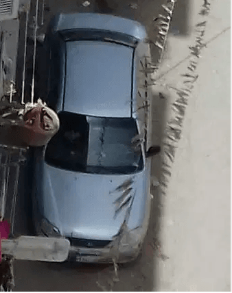 فيرنا فضى 2013