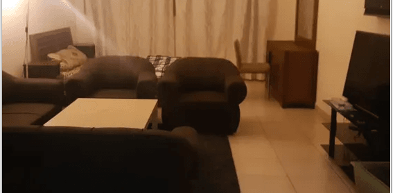 متوفر سكن شيرنج وغرف شيرنج واستديوهات مفروشه وغير مفروشه