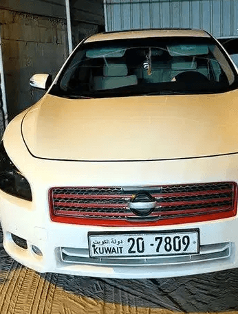Maxima Pearl White 2012