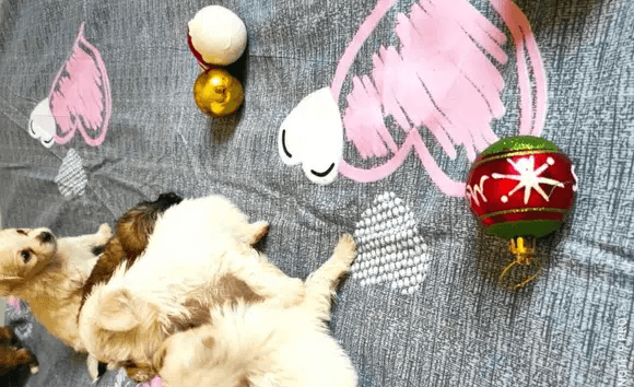 اخر دكر وبنوته لعبين ولذاذ بياكلو اي حاجه بيتي مدربه ع الحمام